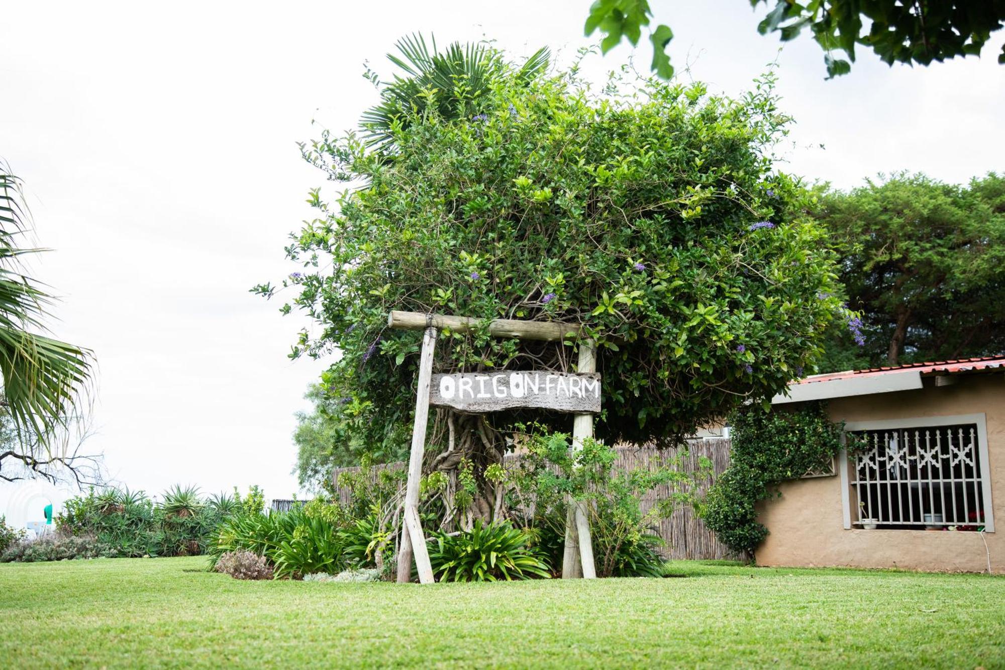 Origon Holiday home *